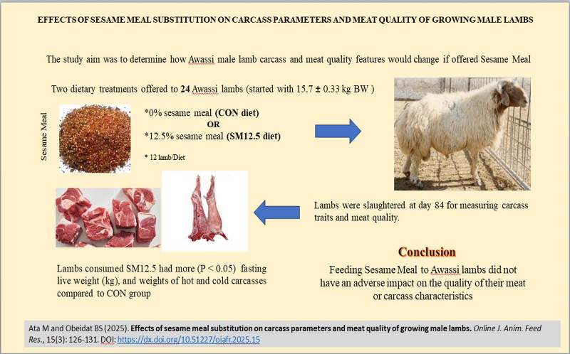 464-sesame_meal_effect_on_male_lambs