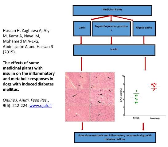 -_inflammatory_and_metabolic_responses_in_dogs