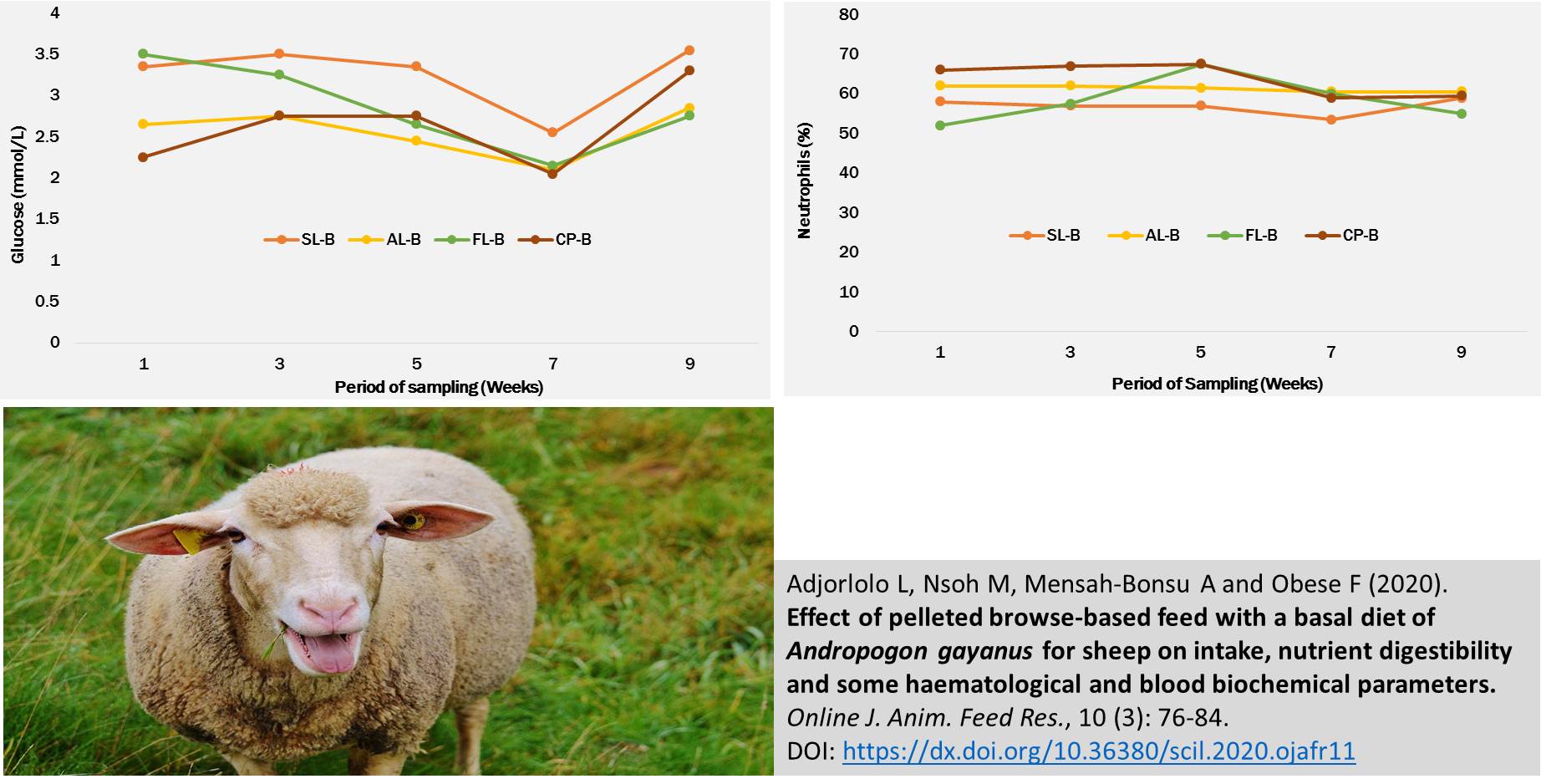 1155-pelleted_browse-based_feed_with_a_basal_diet_of_Andropogon_gayanus_for_sheep