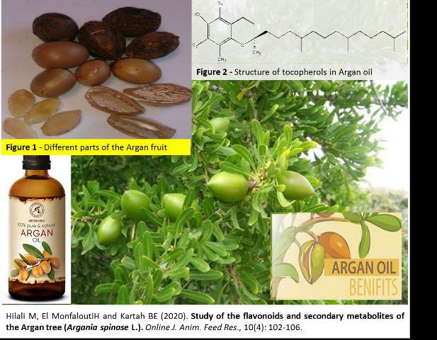 1171-_flavonoids_in_Argan