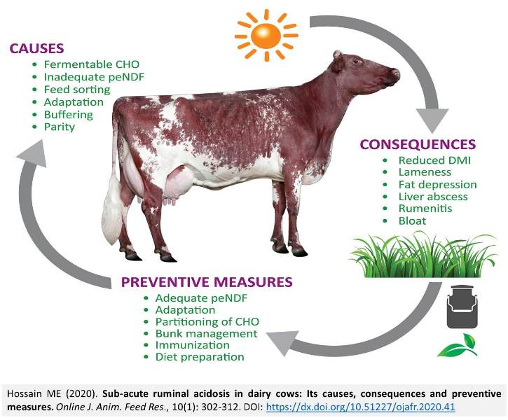 Sub-acute_ruminal_acidosis_in_dairy_cows---