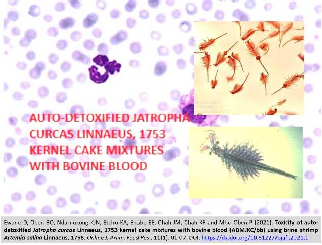 1184-Toxicity_of_auto-detoxified_Jatropha_curcas_Linnaeus---