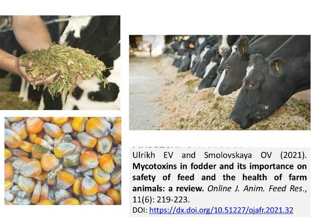 1226-Mycotoxins