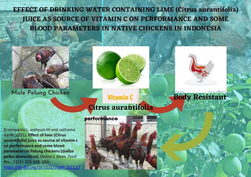 27-effect_of_lime_juice_on_Pelung_chickens