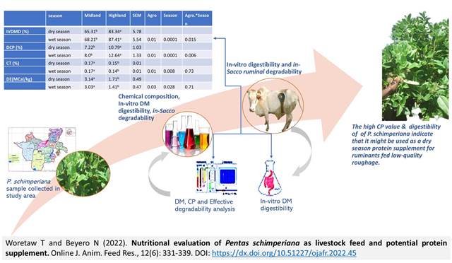 107-Pentas_schimperiana_as_livestock_feed