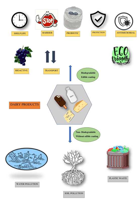 123-Edible_coatings_for_dairy_products