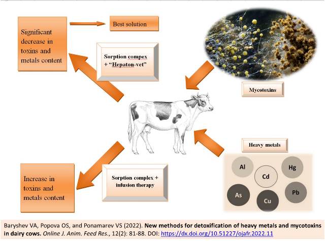 1230-detoxification_of_heavy_metals_and_mycotoxins