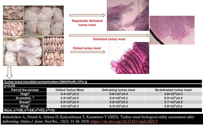 Turkey_meat_biological_safety_assessment_after_defrosting