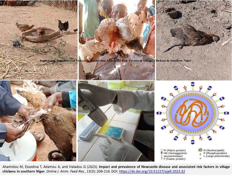 1273-Newcastle_disease_in_Niger