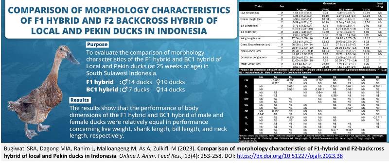 162-F1-hybrid_and_F2-backcross_hybrid_ducks