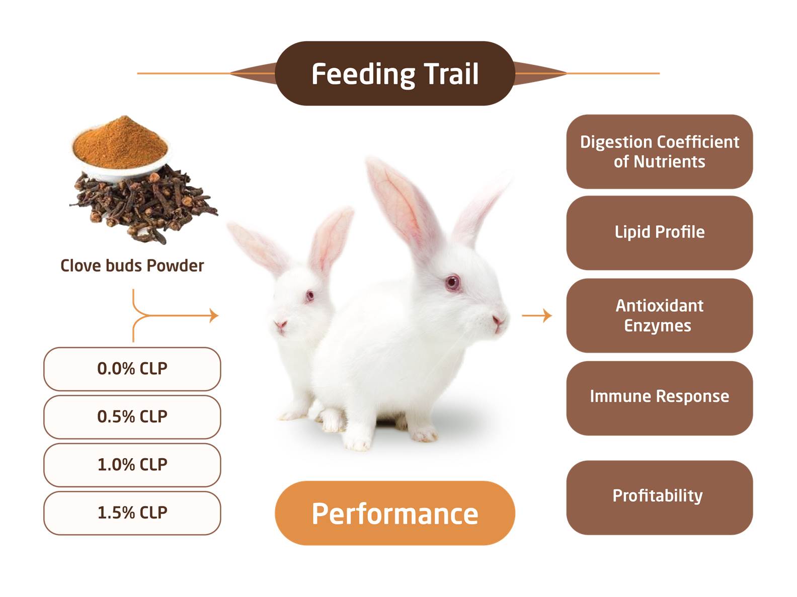 163_-_CLOVE_Syzygium_aromaticum_ON_PRODUCTIVE_PERFORMANCE