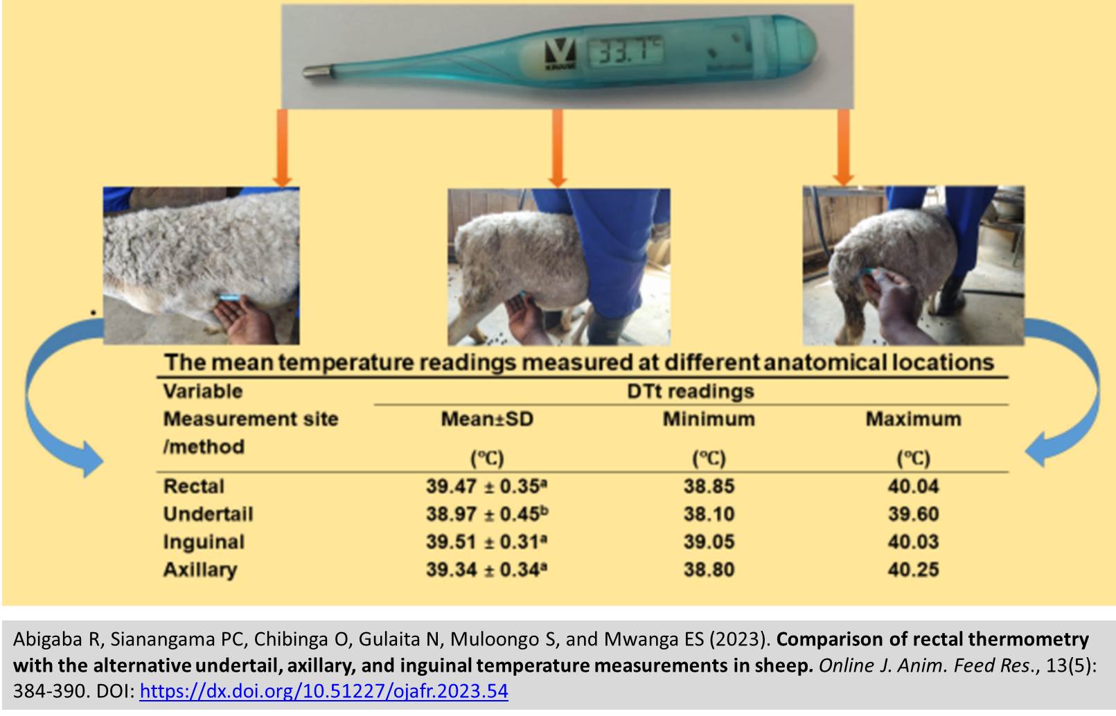 247-temperature_measurements_in_sheep