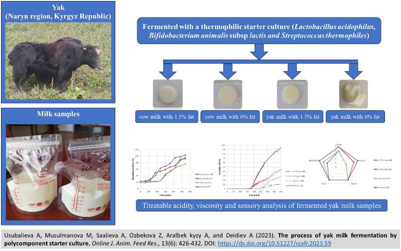 261-yak_milk_fermentation