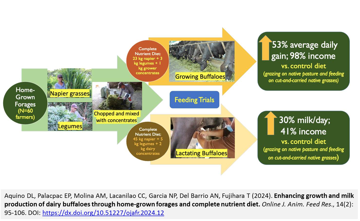 1307-_growth_and_milk_production_of_dairy_buffaloes
