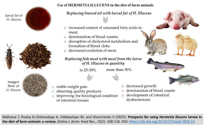 1339-Hermetia_illucens_larvae_in_the_diet