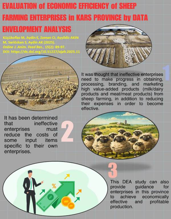 450-efficiency_of_sheep_farming