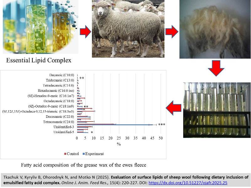 486-surface_lipids