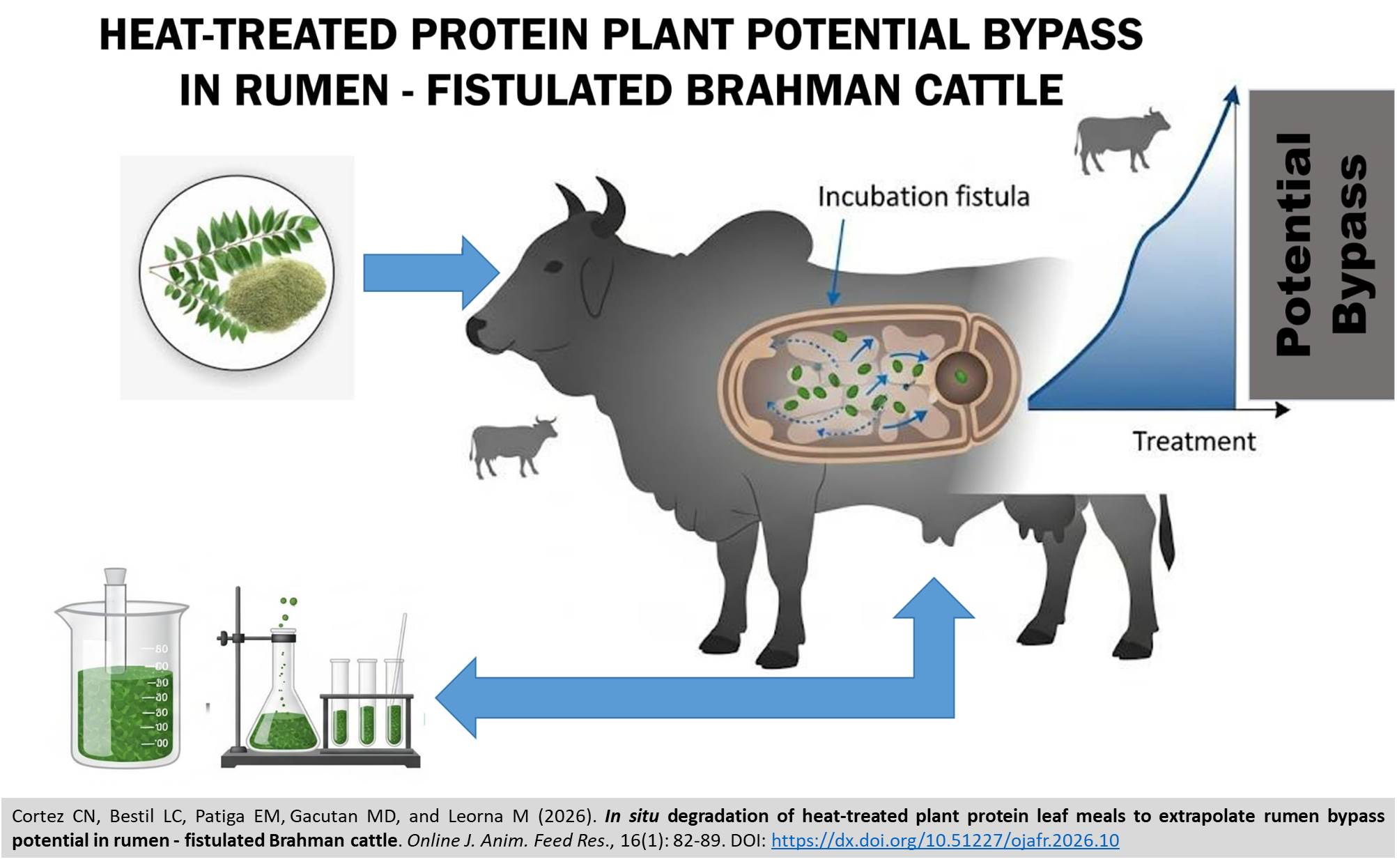 550-extrapolate_rumen_bypass_potential_in_rumen_-_fistulated_Brahman_cattle