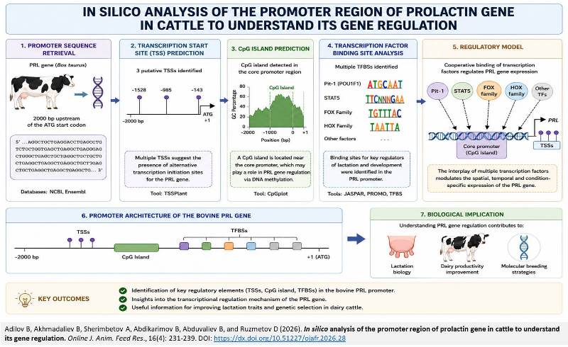 694-prolactin_gene_in_cattle