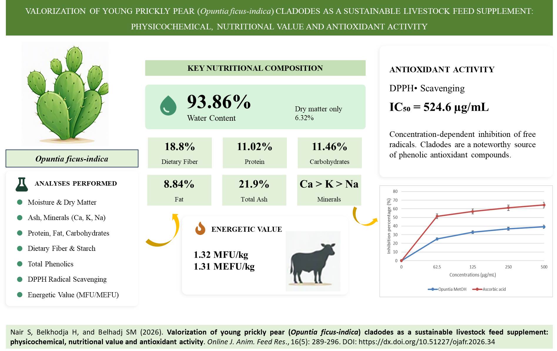 701-_young_prickly_pear_Opuntia_ficus-indica_cladodes_as_a_sustainable_livestock_feed
