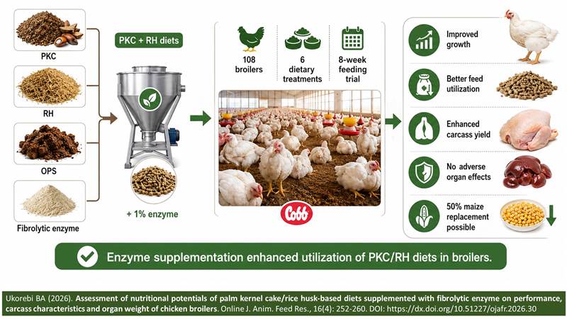 OJAFR-Nig03-_palm_kernel_cake-rice_husk-based_diets_-_broilers