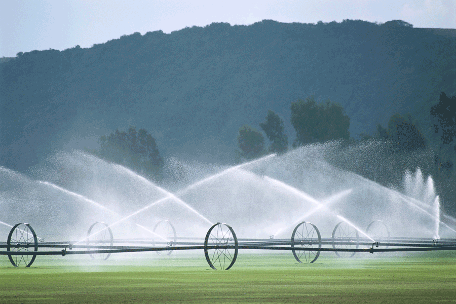 irrigated_agricultural_system
